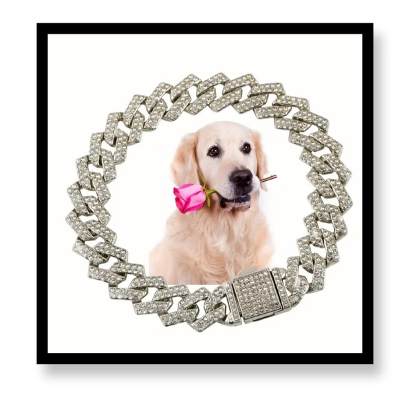 Other - (New in package)Medium Elegant Silver Dog Collar